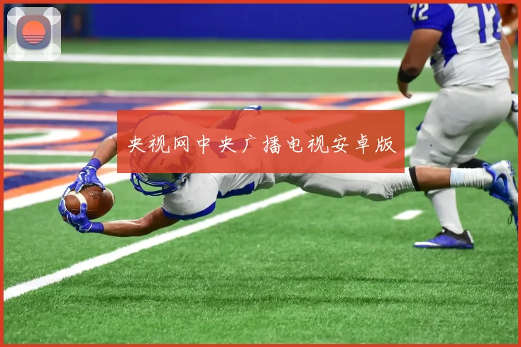 央视网中央广播电视安卓版