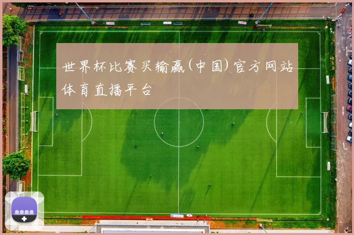 世界杯比赛买输赢(中国)官方网站体育直播平台