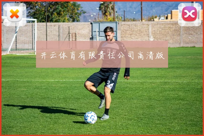 开云体育有限责任公司高清版