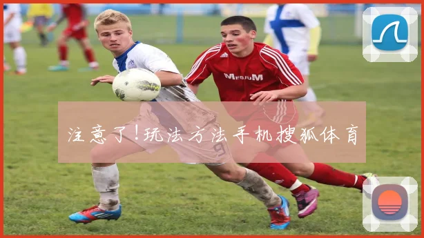 注意了!玩法方法手机搜狐体育