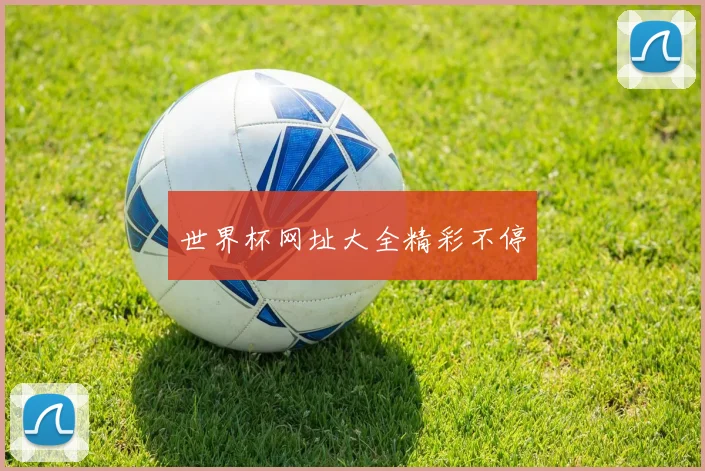 世界杯网址大全精彩不停