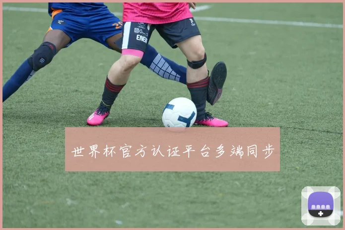 世界杯官方认证平台多端同步