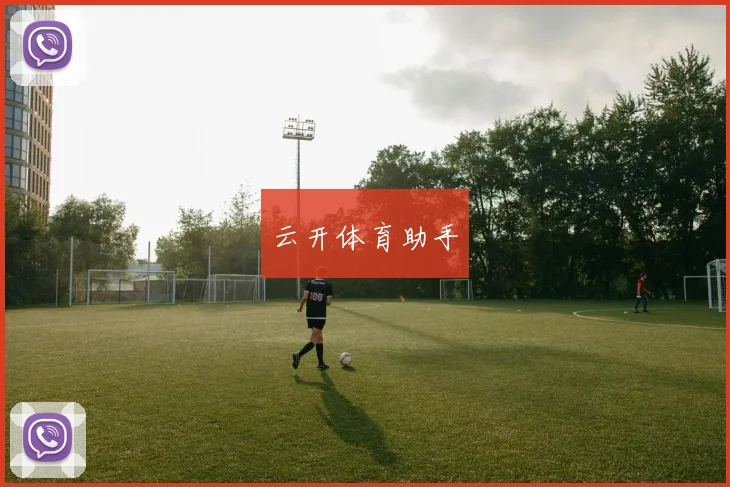 云开体育助手