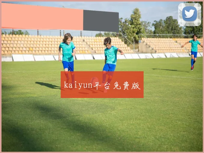 kaiyun平台免费版