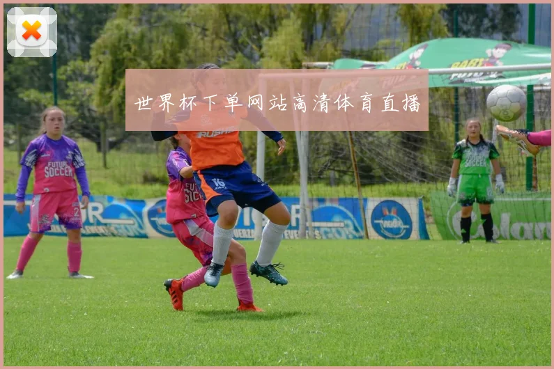 世界杯下单网站高清体育直播