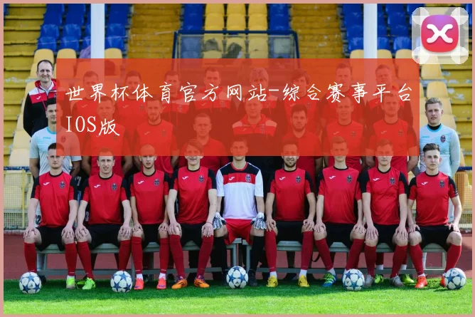 世界杯体育官方网站-综合赛事平台IOS版