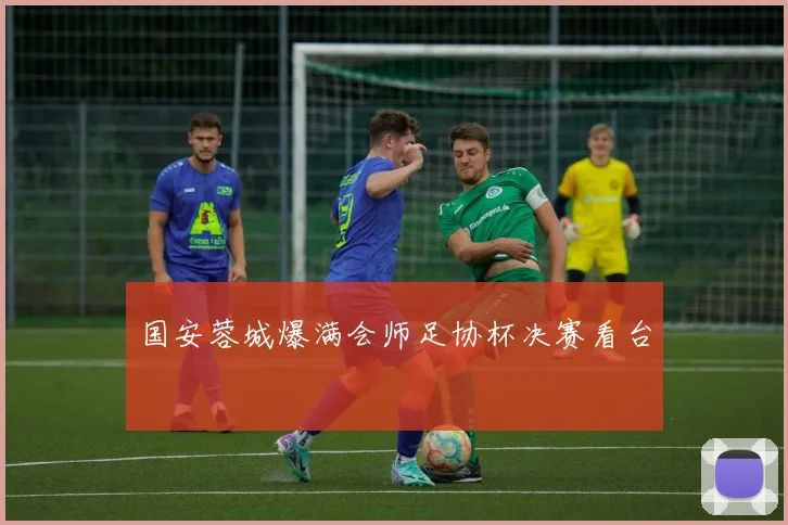 国安蓉城爆满会师足协杯决赛看台