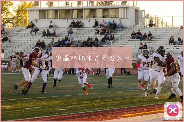 德赢vwin体育平台入口