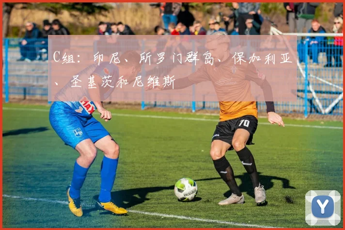 C组：印尼、所罗门群岛、保加利亚、圣基茨和尼维斯