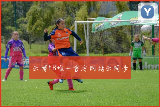 云博YB唯一官方网站云同步