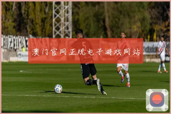 澳门官网正规电子游戏网站