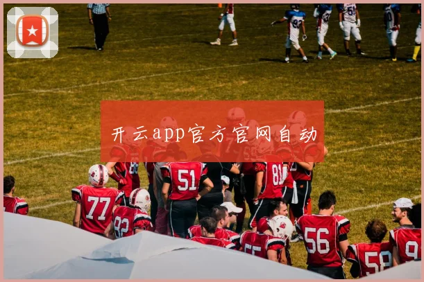 开云app官方官网自动
