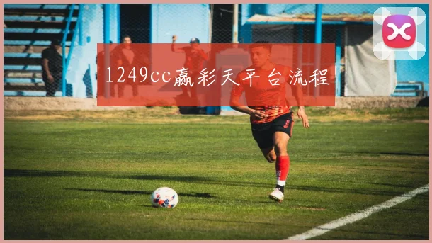 1249cc赢彩天平台流程