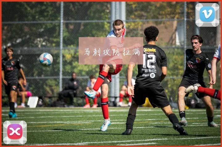 马刺攻防拉满