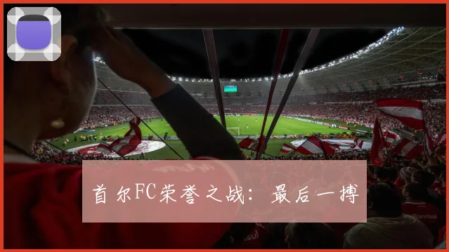 首尔FC荣誉之战：最后一搏