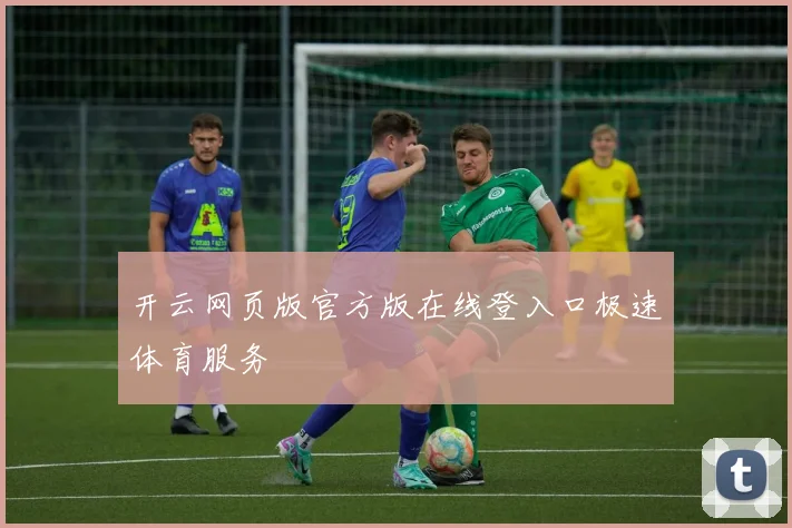 开云网页版官方版在线登入口极速体育服务