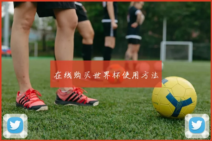 在线购买世界杯使用方法