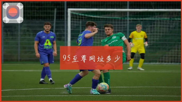95至尊网址多少