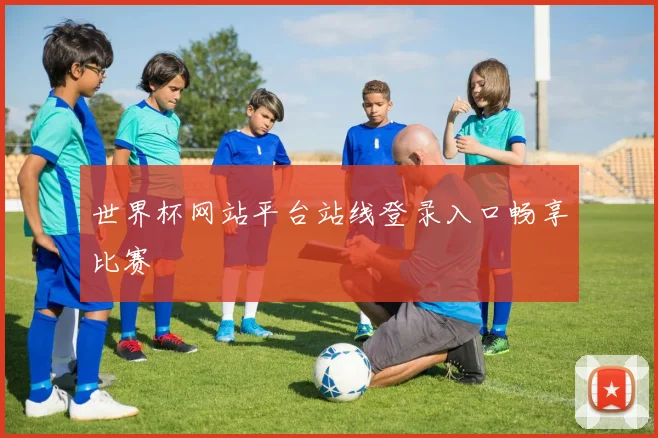 世界杯网站平台站线登录入口畅享比赛