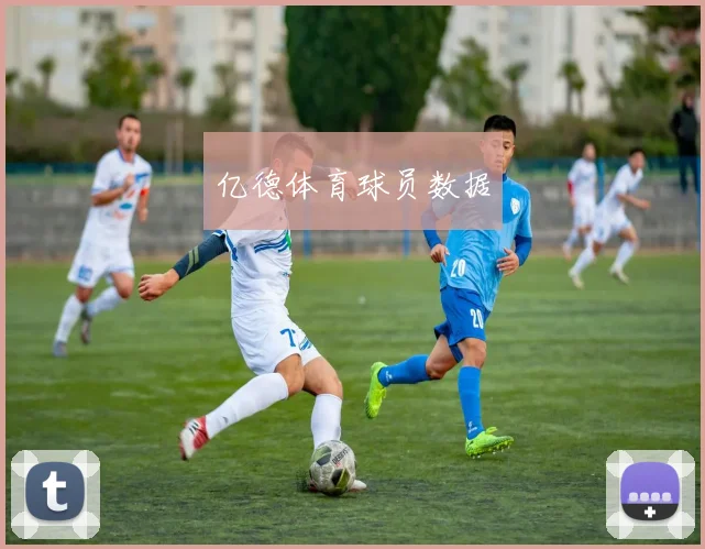 亿德体育球员数据