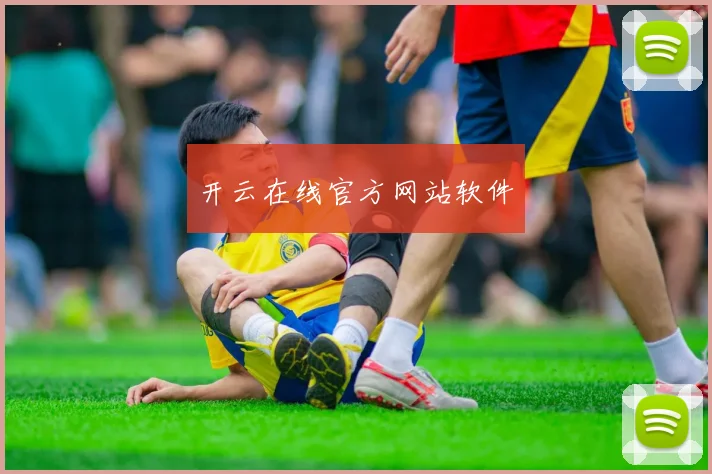 开云在线官方网站软件