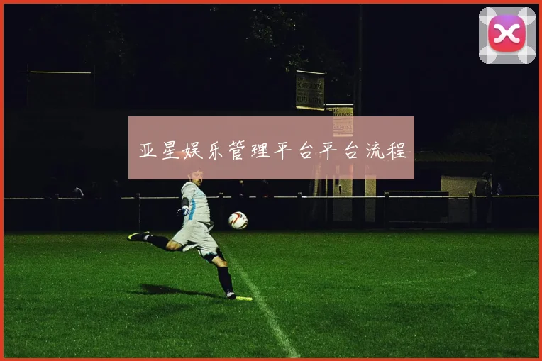 亚星娱乐管理平台平台流程
