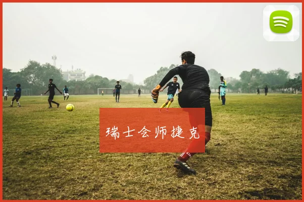瑞士会师捷克