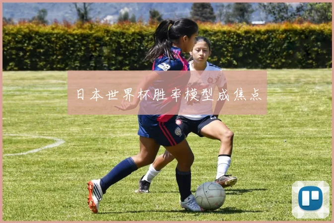 日本世界杯胜率模型成焦点