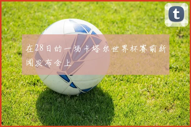 在28日的一场卡塔尔世界杯赛前新闻发布会上