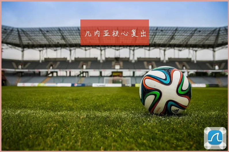 几内亚核心复出
