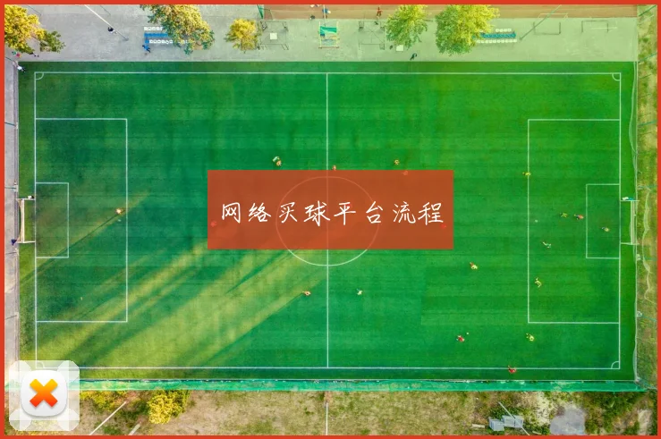 网络买球平台流程