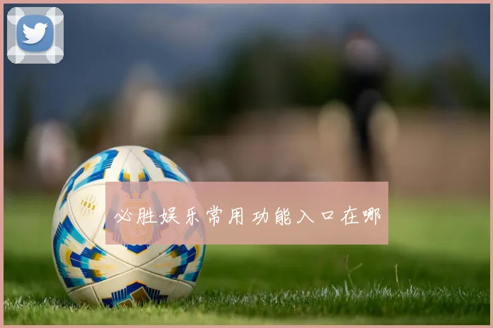 必胜娱乐常用功能入口在哪