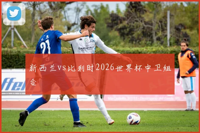 新西兰vs比利时2026世界杯中卫组合